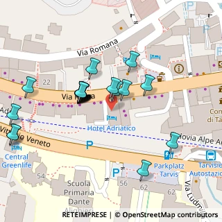 Mappa Via Roma, 33018 Tarvisio UD, Italia (0.02857)