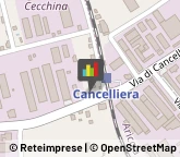 Cardiologia - Medici Specialisti Albano Laziale,00041Roma