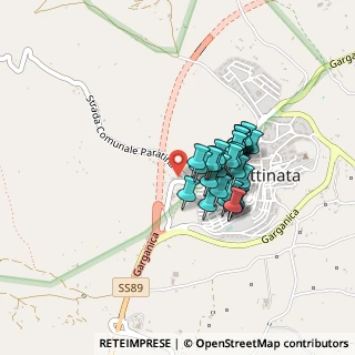 Mappa Strada Comunale Paratina, 71030 Mattinata FG, Italia (0.32148)
