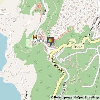 Riso Nemi,00074Roma