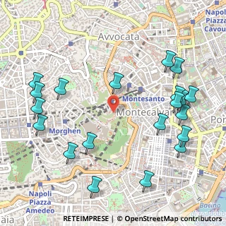 Mappa Via Pedamentina S. Martino, 80134 Napoli NA, Italia (0.6955)