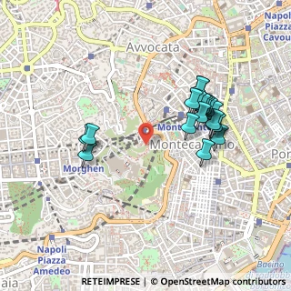 Mappa Via Pedamentina S. Martino, 80134 Napoli NA, Italia (0.477)