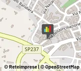 Consulenze Speciali Putignano,70017Bari