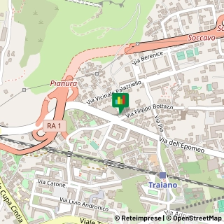 Via Filippo Bottazzi, 70,80126Napoli