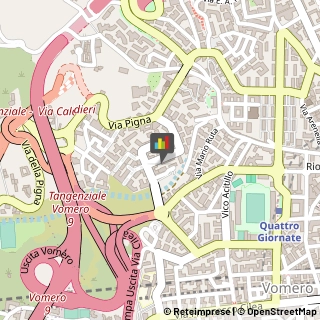Articoli Sportivi - Dettaglio Napoli,80127Napoli