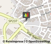 Abbigliamento Donna,70017Bari