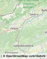 Pediatri - Medici Specialisti Alano di Piave,32031Belluno