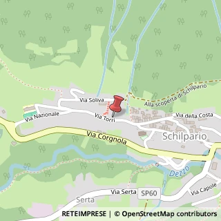 Mappa Via Torri, 8, 24020 Schilpario, Bergamo (Lombardia)