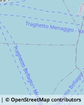 Piante e Fiori - Dettaglio Menaggio,22017Como