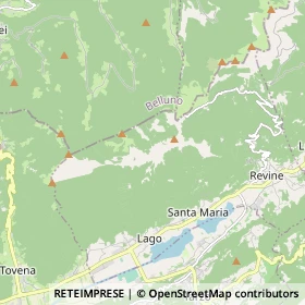 Mappa Revine Lago
