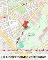 Via Altofonte, 9,90100Palermo