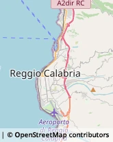 Piante e Fiori - Dettaglio Reggio di Calabria,89132Reggio di Calabria