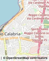 Piante e Fiori - Dettaglio Reggio di Calabria,89125Reggio di Calabria