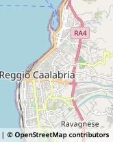 Piante e Fiori - Dettaglio Reggio di Calabria,89127Reggio di Calabria