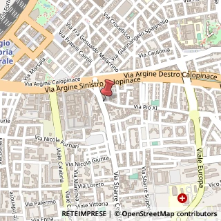 Mappa Viale Pio XI, 4, 89133 Reggio di Calabria, Reggio di Calabria (Calabria)