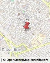 Via Giuseppe Miller, 13,47100Forlì