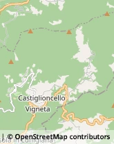 Bar e Caffetterie Casola in Lunigiana,55034Massa-Carrara