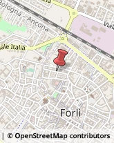 Via Fossato Vecchio, 4,47100Forlì