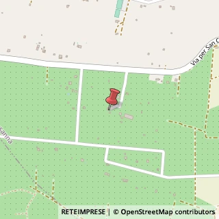 Mappa Via Arciprete Pace, 72028 Torre Santa Susanna, Brindisi (Puglia)