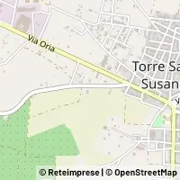 Map Torre Santa Susanna