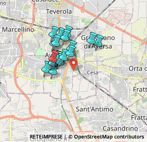 Mappa Presso officina botanica garden center, 81031 Aversa CE, Italia (1.3485)