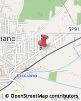 Via Roccarainola, 18,80033Cicciano