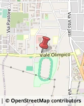 Viale Olimpico, 29,81031Aversa