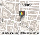 Parrucchieri Cicciano,80033Napoli
