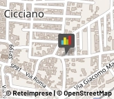Parrucchieri Cicciano,80033Napoli