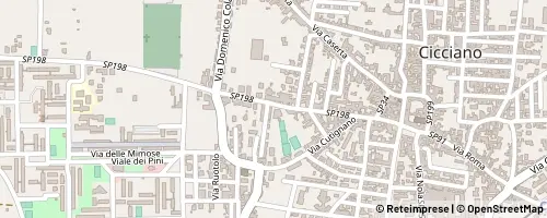 Mappa Cicciano