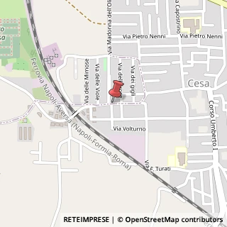 Mappa Viale Kennedy, 36, 81031 Aversa, Caserta (Campania)