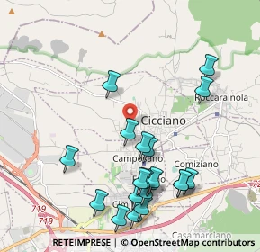 Mappa Piazzale Tulipano, 80033 Cicciano NA, Italia (2.402)