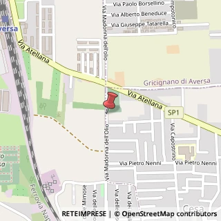 Mappa Via, 5, 81030 Gricignano di Aversa, Caserta (Campania)