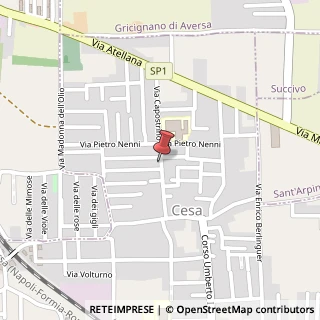 Mappa Via Campostrino, 33, 81030 Cesa, Caserta (Campania)