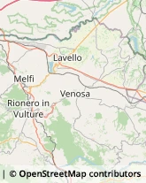 Studi Medici Generici Lavello,85024Potenza