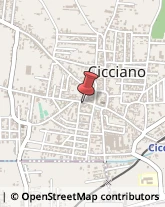 Via Alcide De Gasperi, 6,80033Cicciano