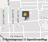 Piante e Fiori - Dettaglio,81030Caserta