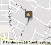 Piante e Fiori - Dettaglio,81030Caserta