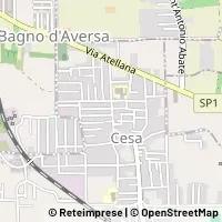 Kort Cesa