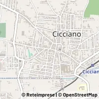 Map Cicciano