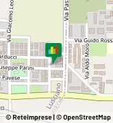 Via Moro, 5,81030Lusciano