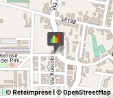 Associazioni di Volontariato e di Solidarietà Cicciano,80035Napoli