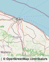 Ottica, Occhiali e Lenti a Contatto - Dettaglio Putignano,70017Bari