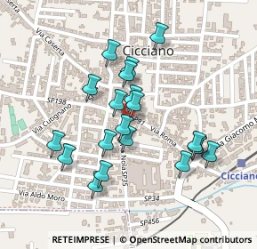 Mappa Piazza Giuseppe Mazzini, 80033 Cicciano NA, Italia (0.221)