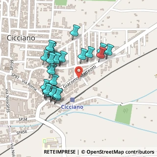 Mappa Via Roccarainola, 80033 Cicciano NA, Italia (0.24643)