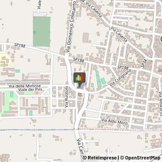 Consulenza Informatica Cicciano,80033Napoli