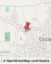 Via Caserta, 154,80033Cicciano