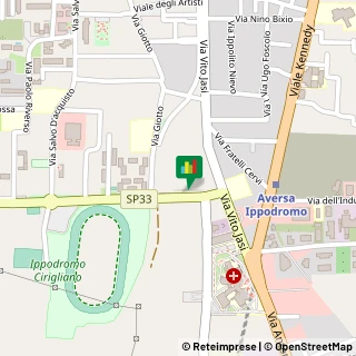 Mappa Viale Olimpico, 16, 81031 Aversa, Caserta (Campania)