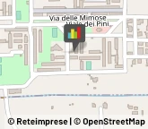 Associazioni di Volontariato e di Solidarietà Cicciano,80033Napoli