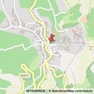 Mappa Viale Roma, 21, 84030 Caselle in Pittari, Salerno (Campania)